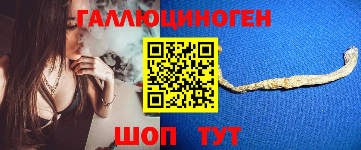 Псилоцибиновые грибы Psilocybine cubensis Октябрьский