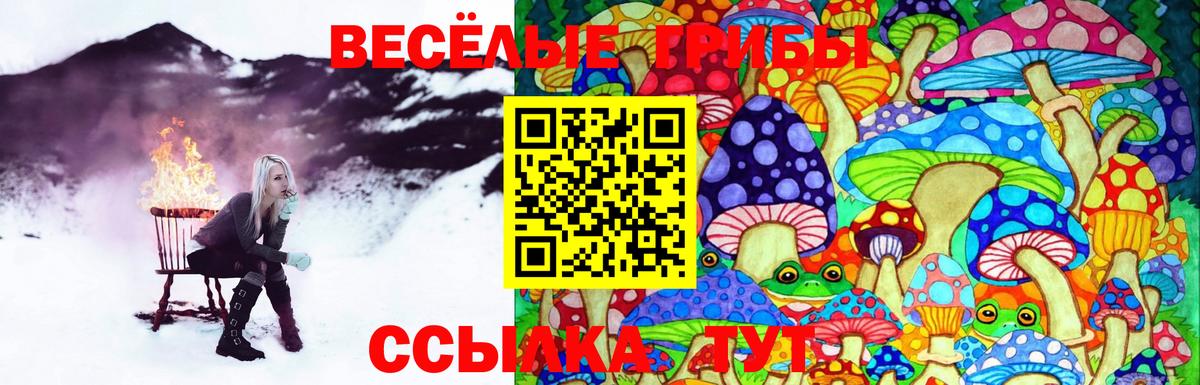 Псилоцибиновые грибы Magic Shrooms  Вход с VPN  Октябрьский 